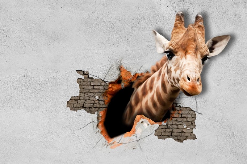 3Д жираф выглядывает из стены