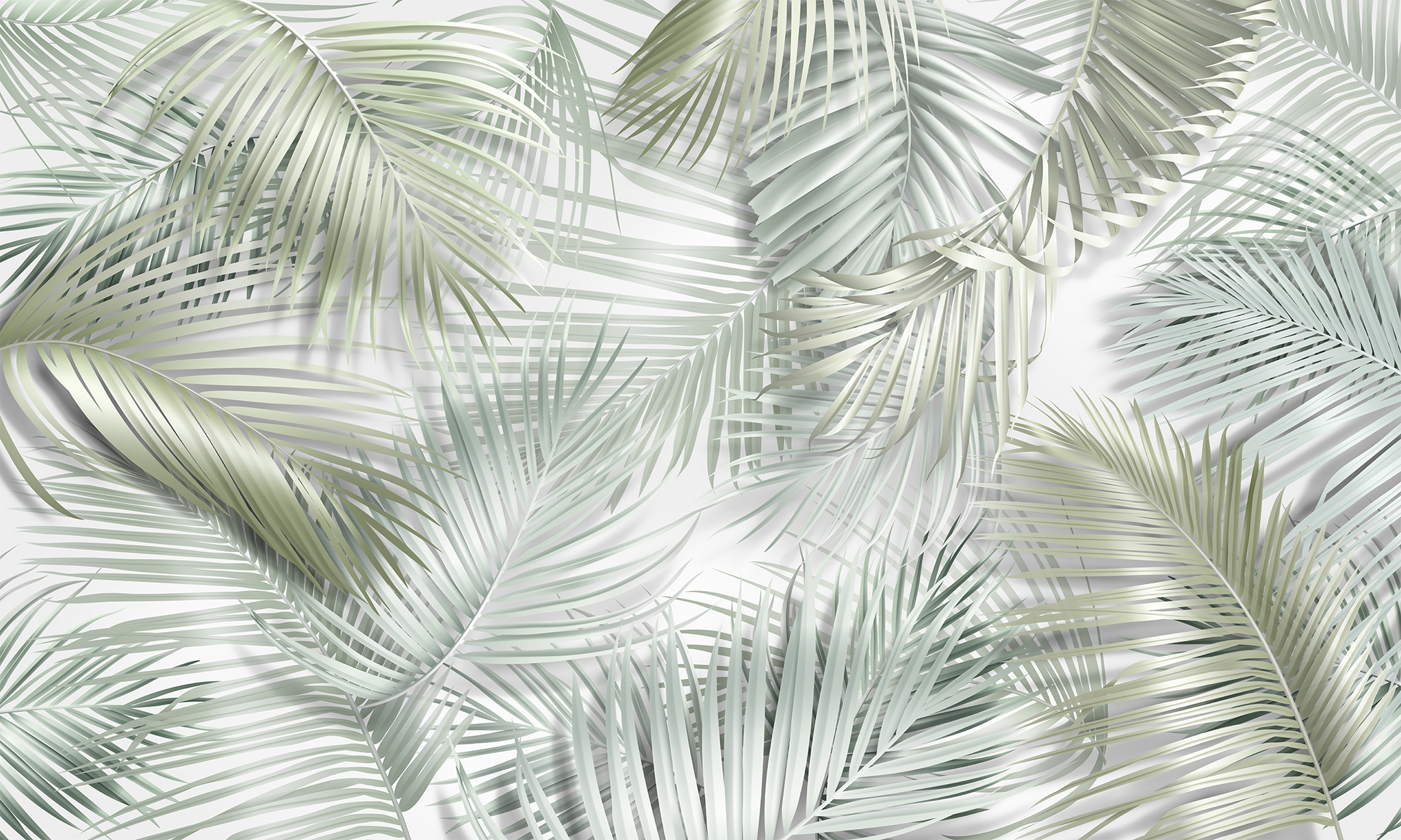  Пальмовые листья на светлом фоне  на стену — Цены и 3D .