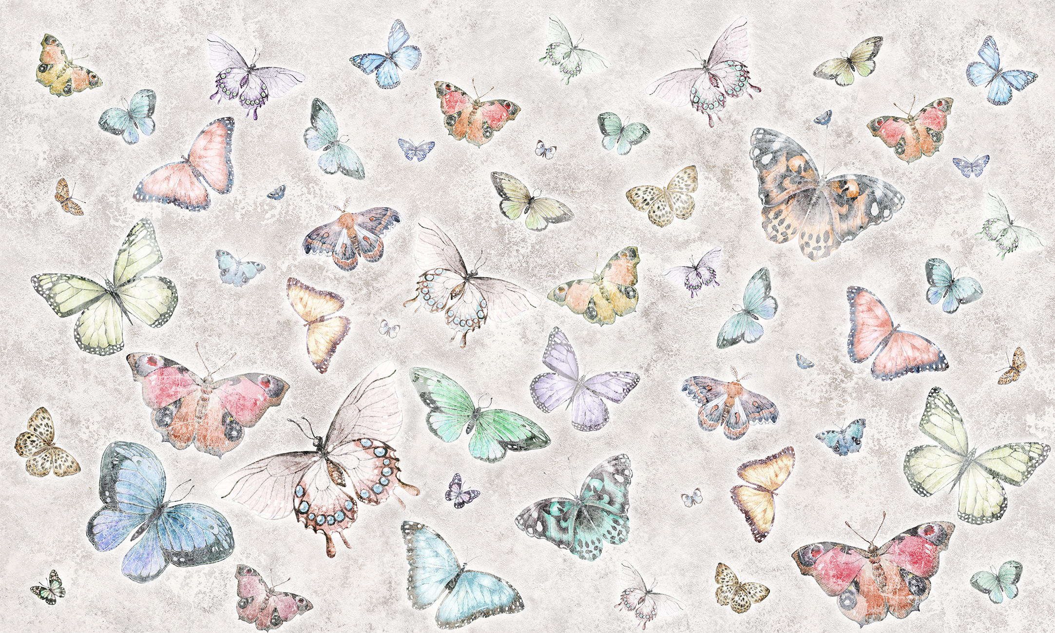 Разнообразные яркие бабочки