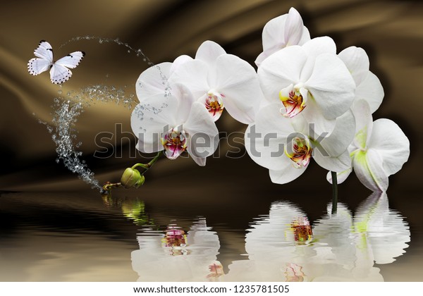 Белые орхидеи в отражении воды