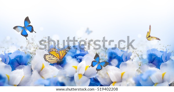 Полет бабочек над нежными цветами