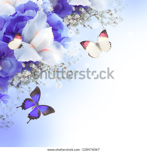 Полет бабочек над цветами