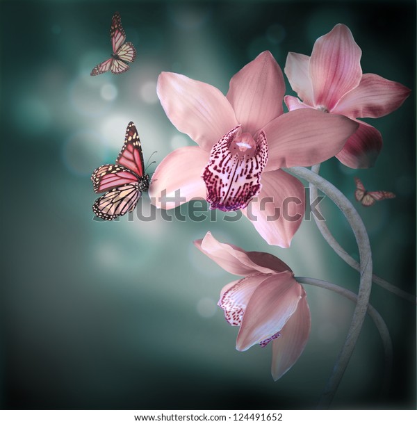 Яркая бабочка на розовом цветке