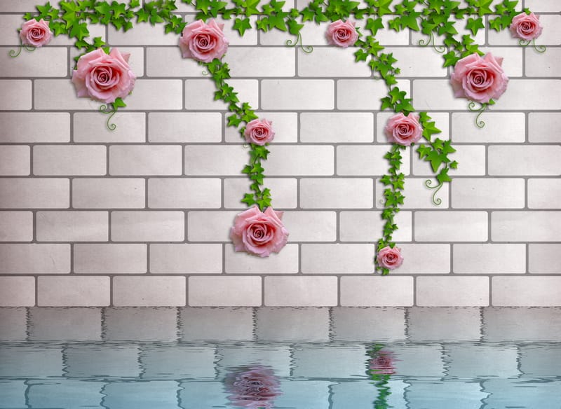 Вьющиеся по кирпичной стене розовые розы