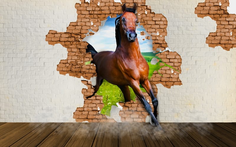 3Д конь пробивает стену