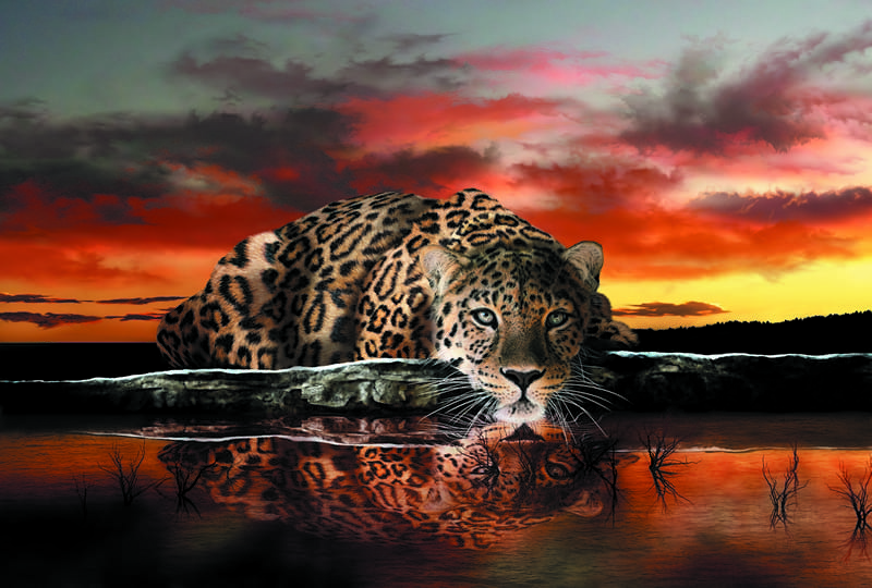3Д леопард и красивый закат