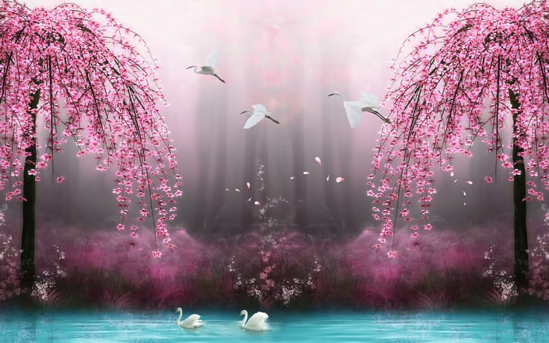 Лебеди на озере и розовые деревья