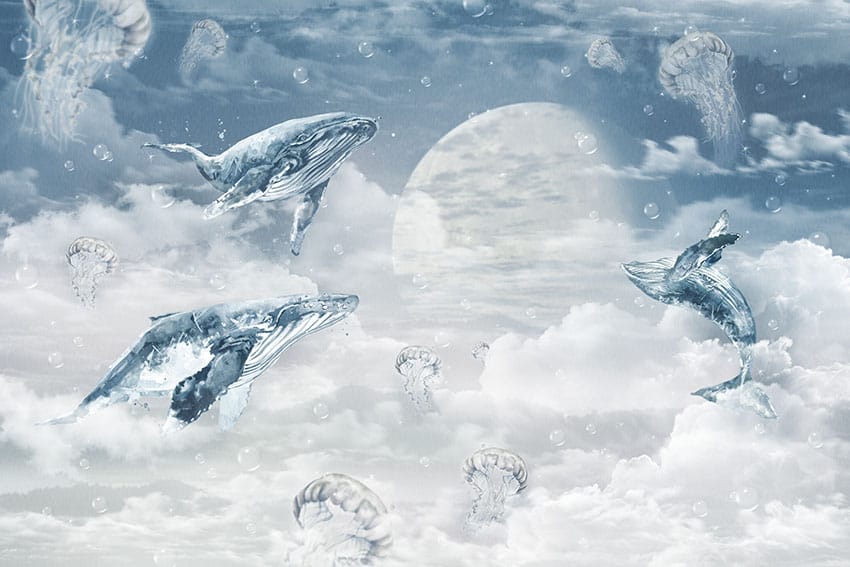 01-073 Moon Whales