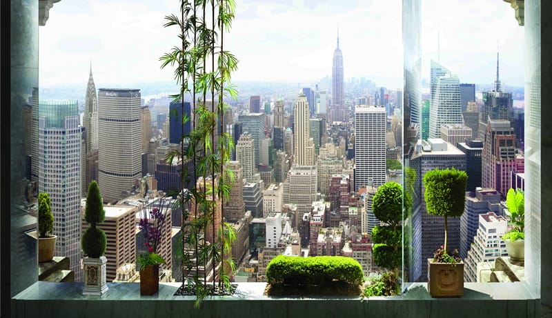3Д окно с растениями и видом на город