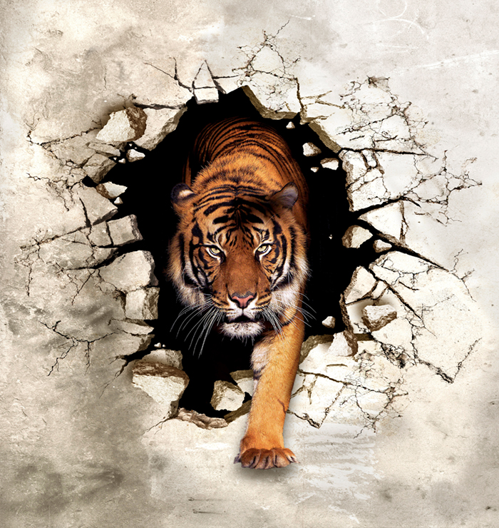 Тигр выходит из разбитой стены