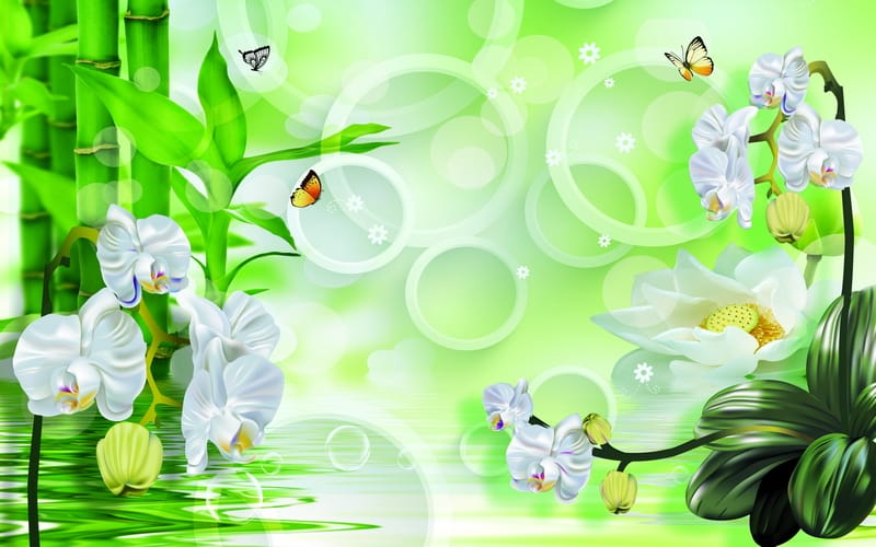 Белые орхидеи и круги на зеленом фоне