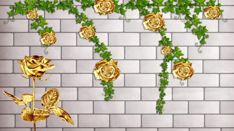 Золотые розы на белой кирпичной стене