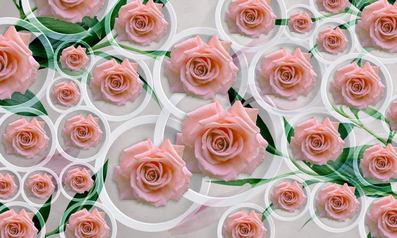3Д розовые розы и серые круги