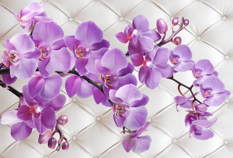 3Д фиолетовые орхидеи и ткань