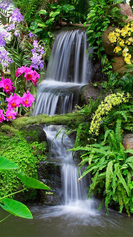 Красивый водопад в цветах
